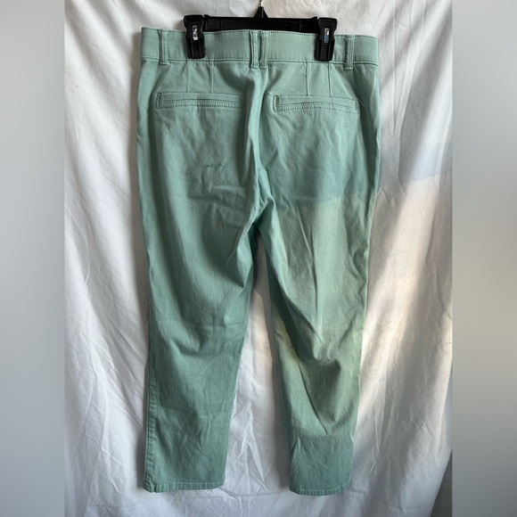 Democracy Pastel Green Skinny "Ab"solution Pants Elastic Waistband Size 8 - Picture 2 of 3